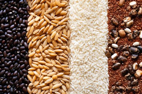 Ilustración de diferentes tipos de legumbres y granos de arroz