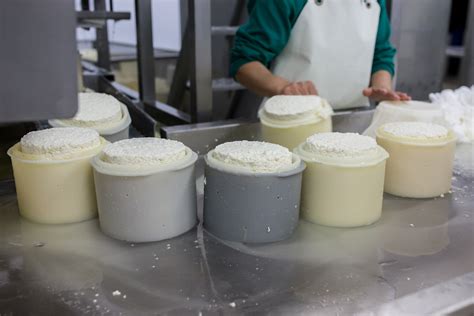 Moldeado y prensado del queso fresco