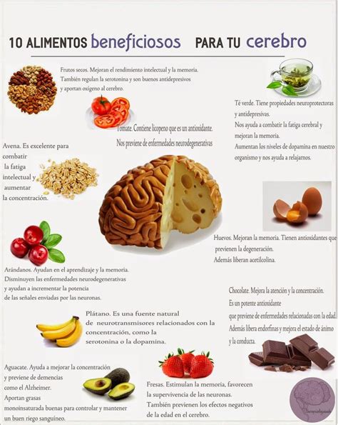 Infografía sobre alimentos beneficiosos para el cerebro y sus nutrientes