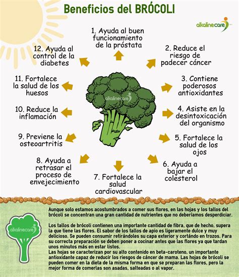 Infografía sobre los beneficios del brócoli