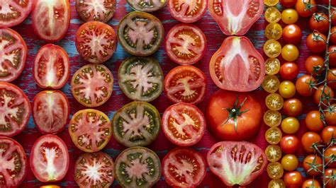 Variedades de tomates cherry