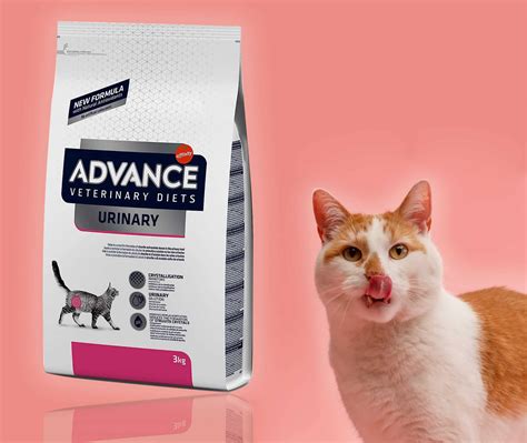 Tabla comparativa de ingredientes de piensos para gatos