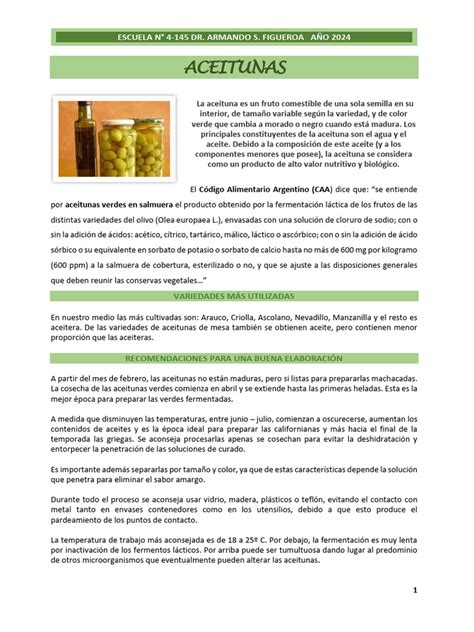 Infografía sobre el proceso de elaboración de aceitunas rellenas