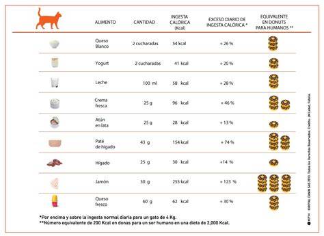 Tabla nutricional de comida para gatos junior