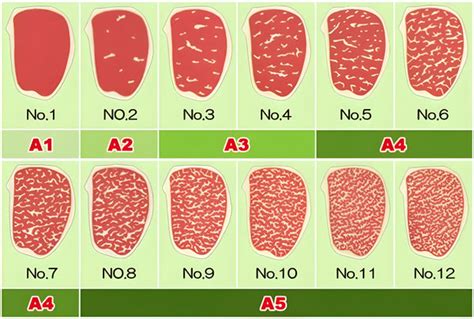 Tabla de clasificación de Wagyu A5