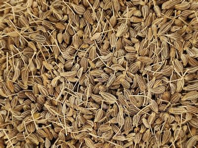 Semillas de anís y avena