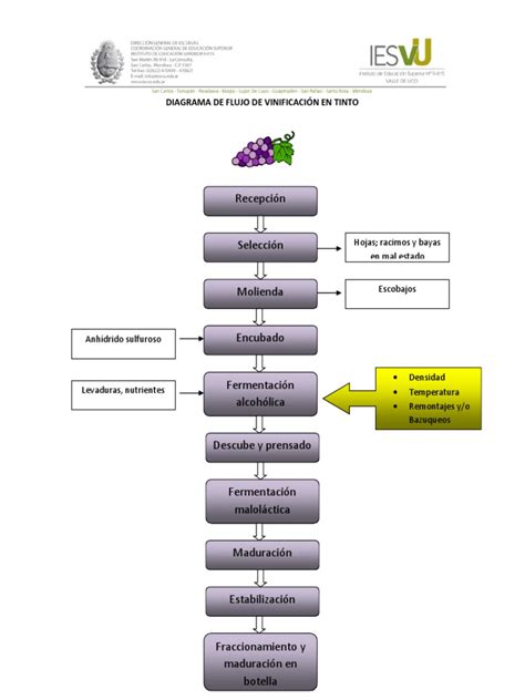 Diagrama de flujo de la elaboración del vino
