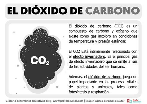 Esquema de las fuentes de dióxido de carbono en el vino