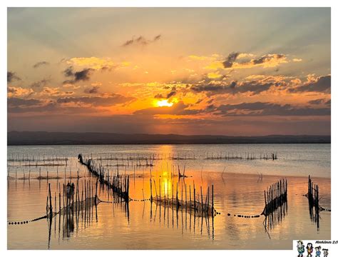Parque Natural de la Albufera de Valencia