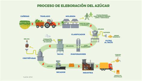 Proceso de extracción de azúcar de la caña