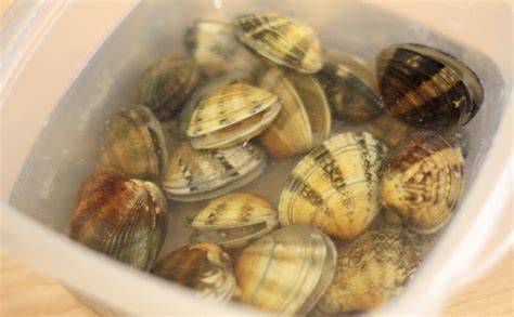 Almejas en remojo en agua salada