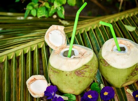Frutas de coco frescas