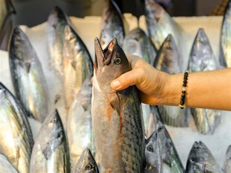 Pescado fresco variado en un mercado