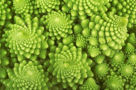 Geometría fractal del romanesco