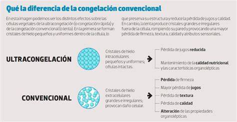 Proceso de ultracongelación IQF del pescado