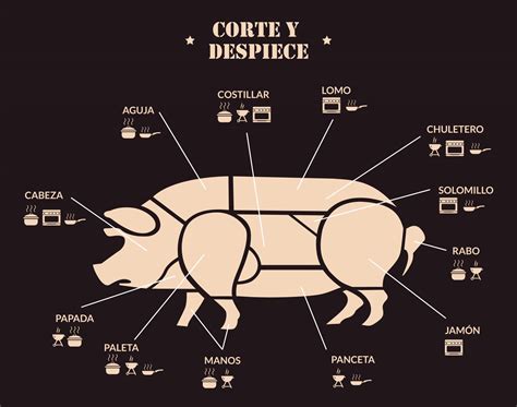 Infografía sobre cortes de cerdo y sus usos