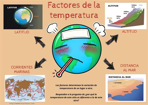 Ilustración de factores que afectan la conservación de verduras: temperatura, humedad, luz, etileno.
