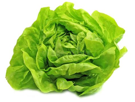 Imagen comparativa de lechuga fresca y lechuga marchita.