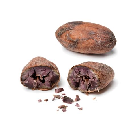 Grano de cacao cortado para inspección