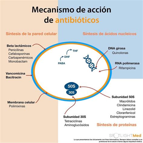 Mecanismos de acción antibiosis