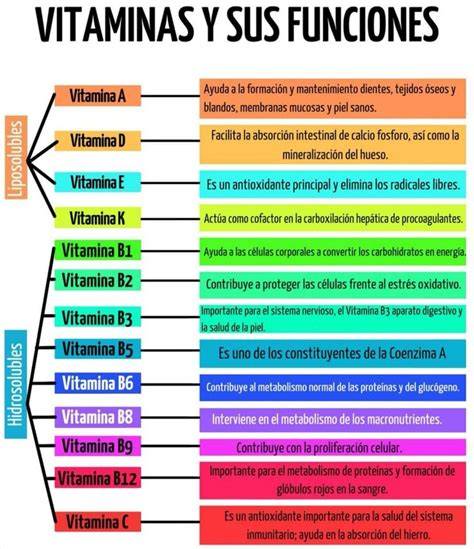Esquema de las vitaminas y minerales que contiene Arkobiotics Vitaminas y Defensas Adultos