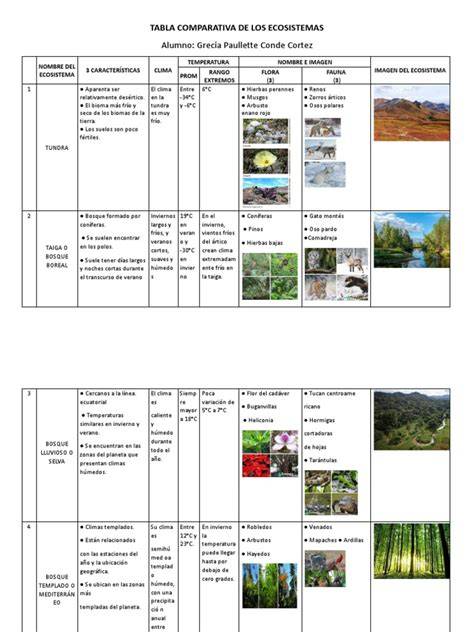Tabla comparativa de los ingredientes principales en diferentes probióticos