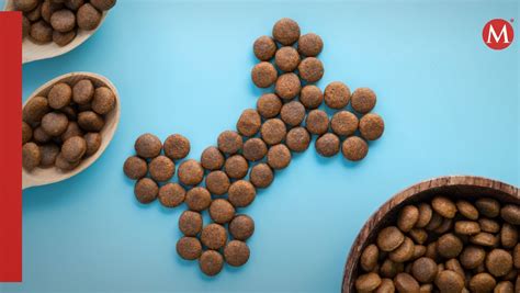 Logo de MON CROQUETA SL o imagen representativa de croquetas innovadoras