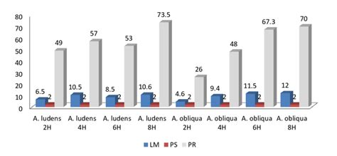 Gráfica comparativa de tiempos de conservación del pan de maíz
