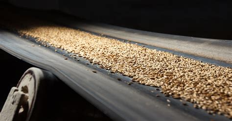 Proceso de malteado y tostado de cereales