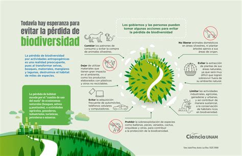 Infografía sobre la pérdida de diversidad vegetal