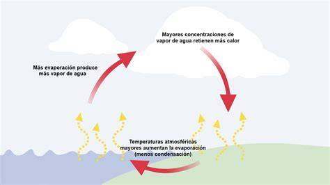 Diagrama mostrando el flujo de aire y vapor en la jarra palomitera
