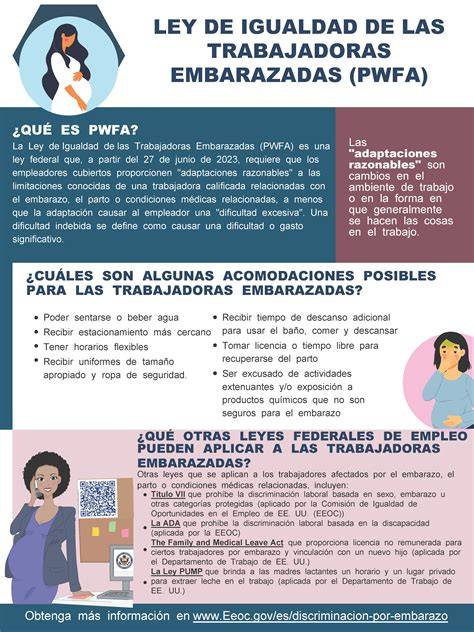 Diagrama que explica la protección legal de las trabajadoras embarazadas contra el despido.
