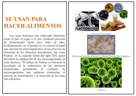 Microorganismos beneficiosos en yogur