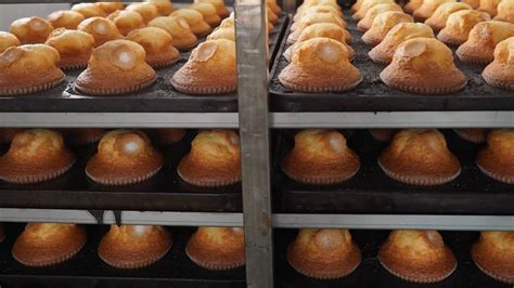 Comparativa de magdalenas caseras vs industriales
