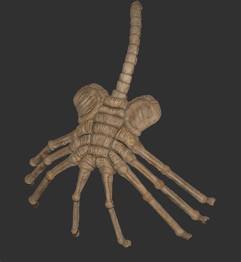 Diseño de un Facehugger en un entorno alienígena