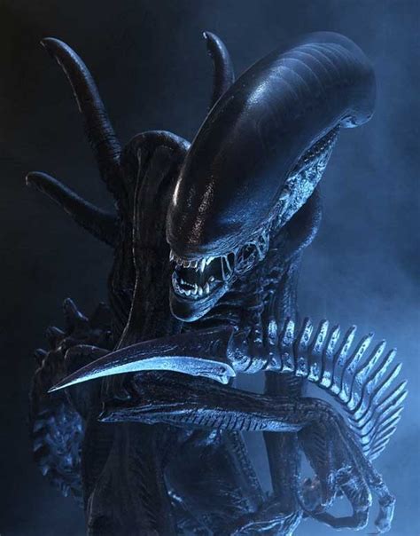 Xenomorfo adulto en su forma completa