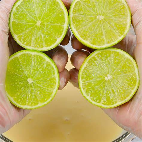 Naranja y limón cortados, listos para añadir