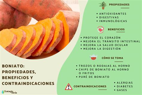 Infografía mostrando los beneficios del boniato para la regulación del azúcar en sangre