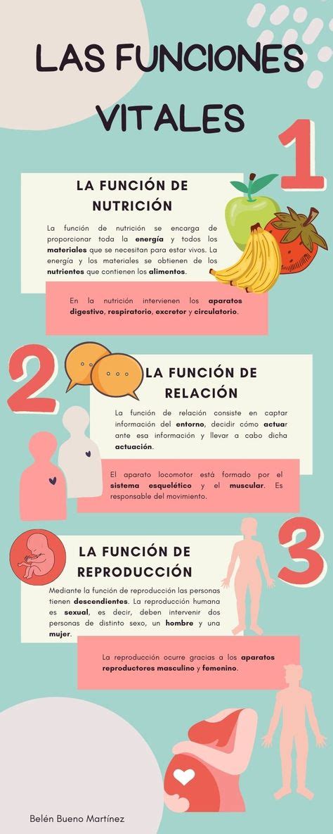 Infografía sobre las funciones de los microondas Whirlpool