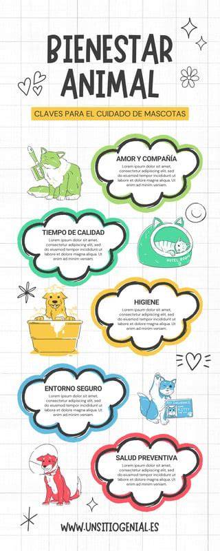 Infografía sobre bienestar animal en mataderos
