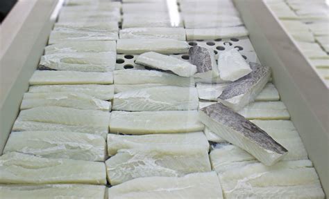 proceso de desalado de bacalao