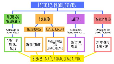 Diagrama de factores para elegir maquinaria de hostelería