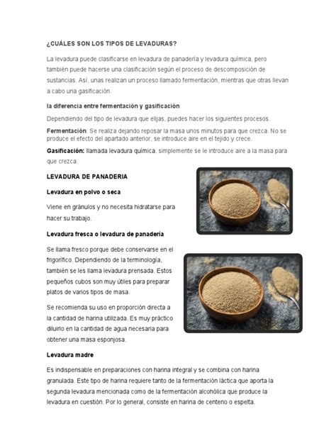 Infografía comparando levadura de panadería y levadura química
