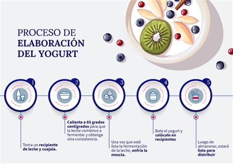 Proceso de elaboración de yogur casero con fermentos