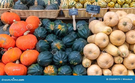 Calabazas de temporada en un puesto de mercado