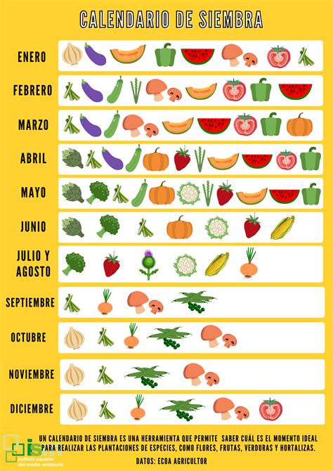 Calendario de siembra para calabazas
