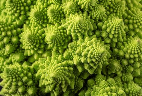 Formación fractal del romanesco