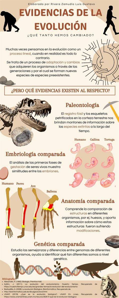 Infografía sobre la evolución de los asentamientos en el Valle de Gallinera
