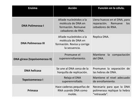 Tabla comparativa de polimerasas de ADN