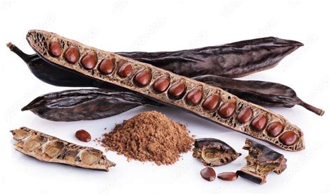 Frutos del algarrobo y harina de algarroba